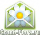 Логотип компании Доставка цветов Гранд Флора (ф-л г.Волхов)